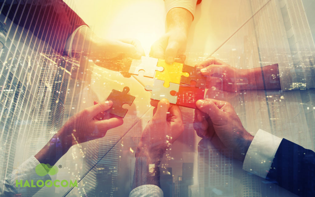 Computer Telephony Integration (CTI) Benefits With Haloo Connect
